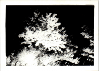 GI0378