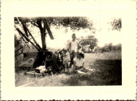 GK0786