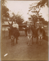 GK0938