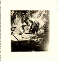 GL0481