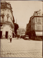 GO0309