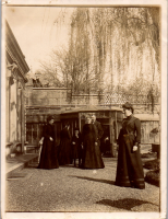 GO0354