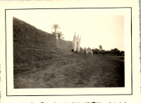 GP0313