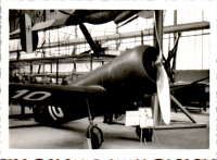 GY0603