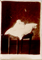 GY0988