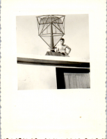 HA0019