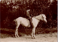 HA0168