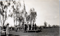 HA0173
