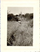 HA0423