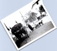HA0952