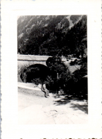 HB0254