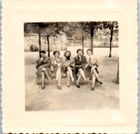 HB0338