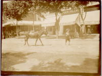 HB0511
