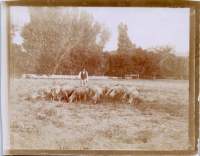 HB0713