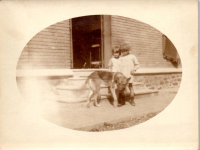 HB0806