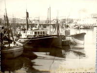 HC0269
