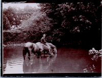 HC0312