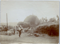HC0323