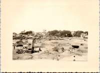 HC0381