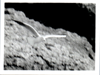 HC0421