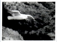 HC0422