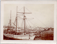 HC0444
