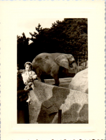 HC0497