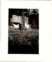 HC0715