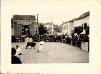 HC0816