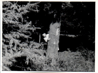 HC0873