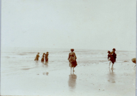 HD0382