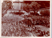 HE0845