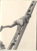 HF0929