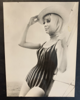 LIV11527