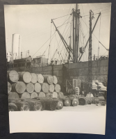 LIV11946
