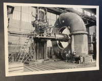 LIV11950
