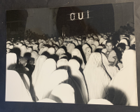 LIV11961