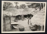 LIV15581