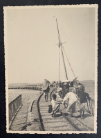 LIV18517