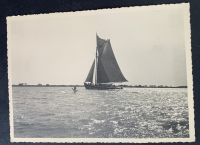 LIV18525