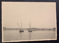 LIV18548