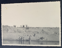 LIV18552