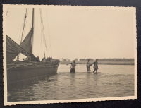LIV18554
