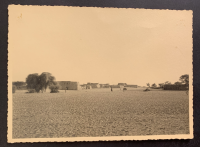 LIV18568