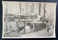 LIV18652
