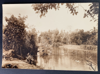 LIV18669