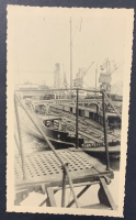 LIV18788