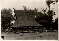 LIV19099