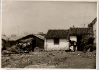 LIV19111