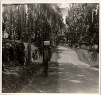 LIV19130